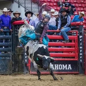 Meet your Posher, Wyatt